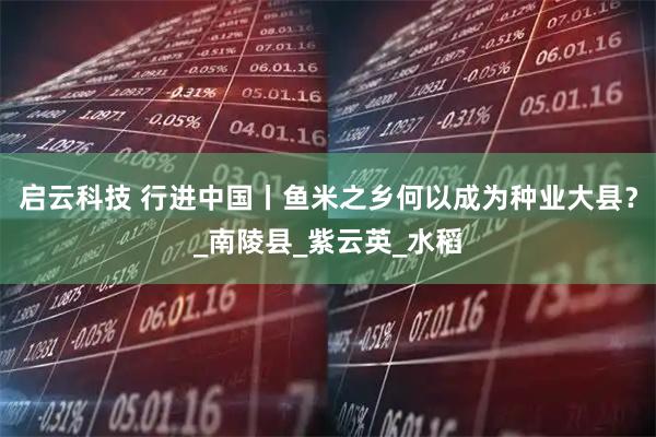 启云科技 行进中国丨鱼米之乡何以成为种业大县？_南陵县_紫云英_水稻