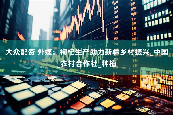 大众配资 外媒：枸杞生产助力新疆乡村振兴_中国_农村合作社_种植